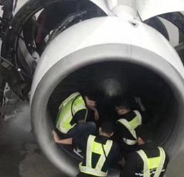 Auf Geldsuche: Die Mechaniker fanden neun Münzen.