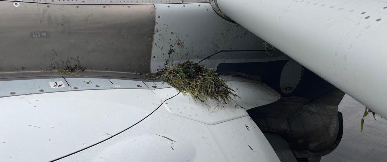 Gras und Erde oben an der Triebwerksaufhängung: Folge der sogenannten Runway Excursion, wie es im Jargon heißt.