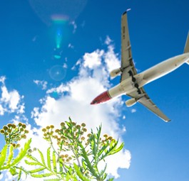 Flieger von Norwegian: Bald in Argentinien unterwegs?
