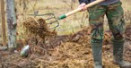 Landwirt mit einer Gabel Gülle: Künftig soll auch aus Gülle und Stroh Kerosin gewonnen werden.