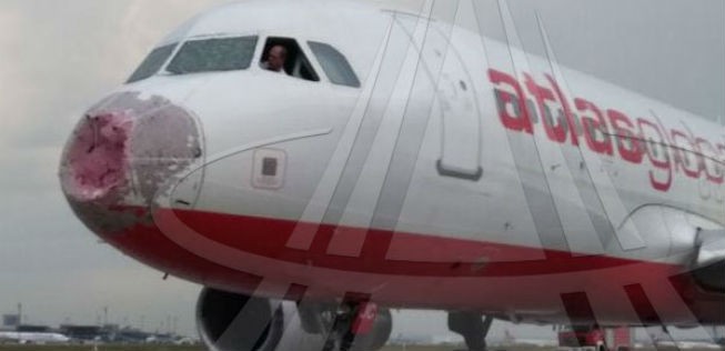 ... die von Atlasglobal, die...