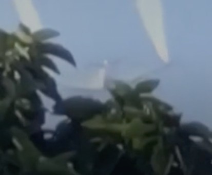 Bild der Boeing 777 von Delta von Anwohnern: Das Flugzeug ließ in niedriger Höhe Treibstoff ab.