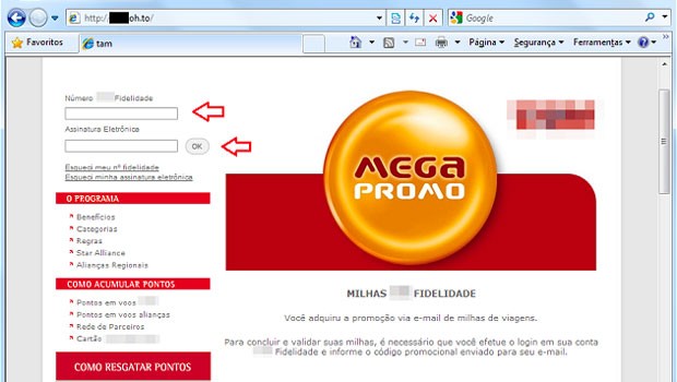 Eine der Phishing-Seiten, über die die Hacker die Meilen geklaut haben.
