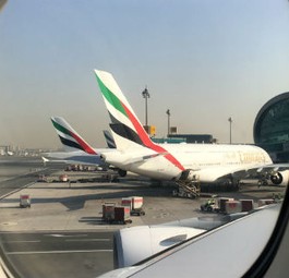 Emirates-Flieger in Dubai: Tunesierinnen sind an Bord derzeit nicht willkommen.