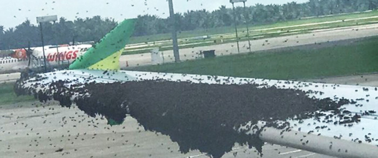 Flugzeug am Flughafen in Medan: Viele Flügel auf dem Flügel.