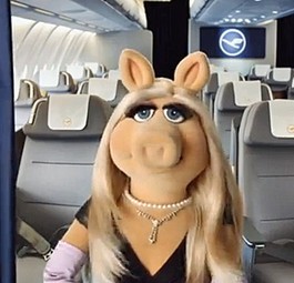 Miss Piggy: Großer Auftritt an Bord.