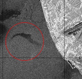 Absturzort der Tu-154: Was passierte im Cockpit?