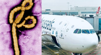 Ebola-Virus, Airbus A330 von Brussels Airlines: Neue Regeln belasten die Fluggesellschaft.