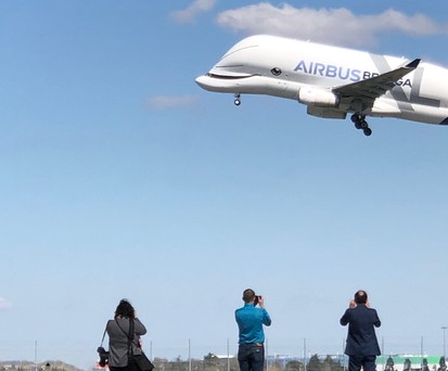 Airbus vergrößert die Familie der Beluga XL
