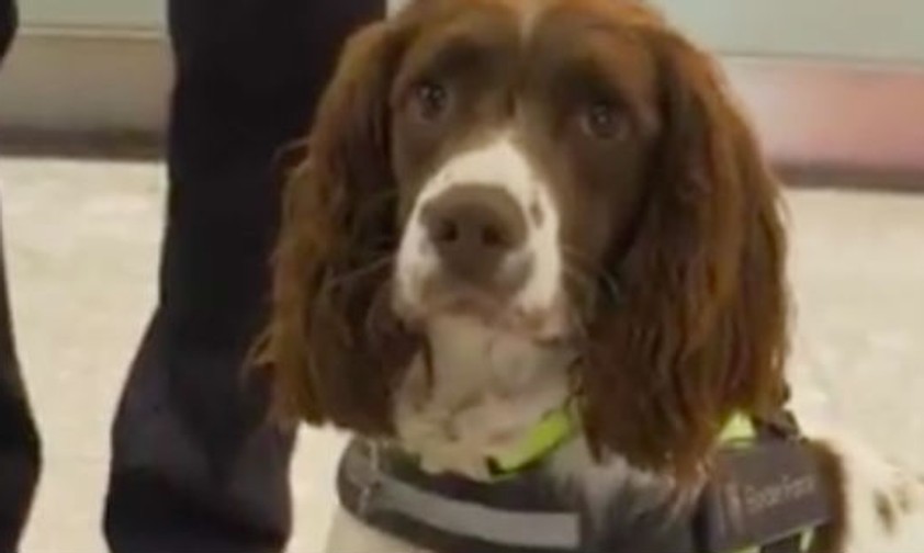 Ein Tag mit Heathrows fleißigstem Mitarbeiter