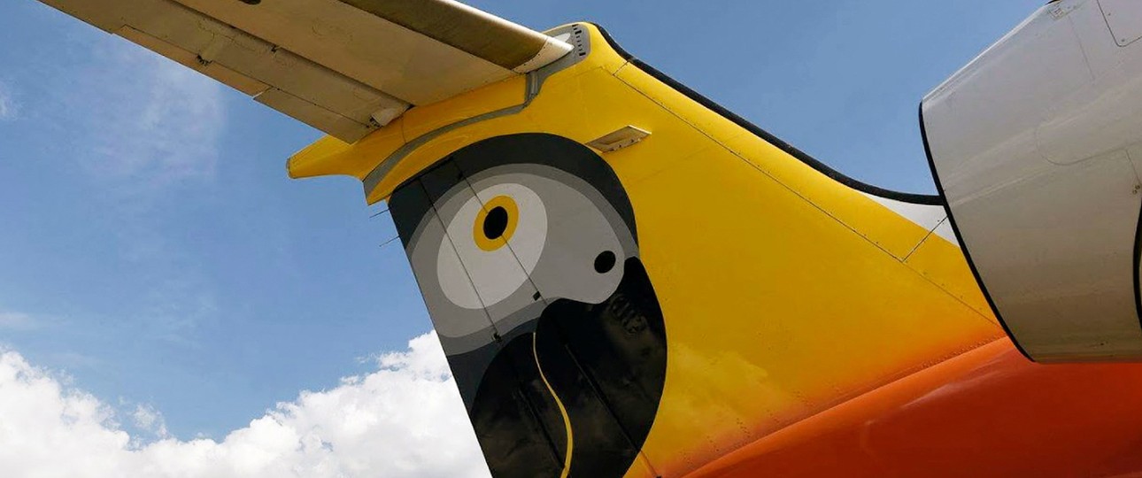 Heck eines Fastjet-Fliegers: Papagei als Logo.