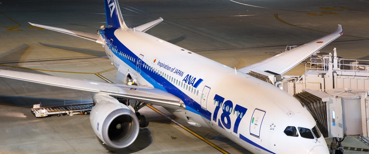 Boeing 787-8 von ANA: Die Airline hatte 30 Boeing 787-3 bestellt.