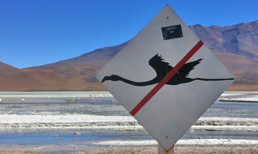 Flamingo-Schild in Südamerika: Auch so eins hätte den Crash in Montpellier kaum verhindert.