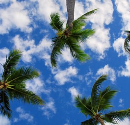 Himmel über Punta Cana: Lange kein Eurowings-Flieger zu sehen.