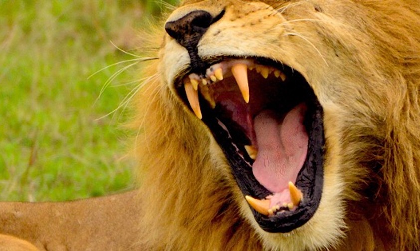 Wo auf der Welt landen Sie im August?