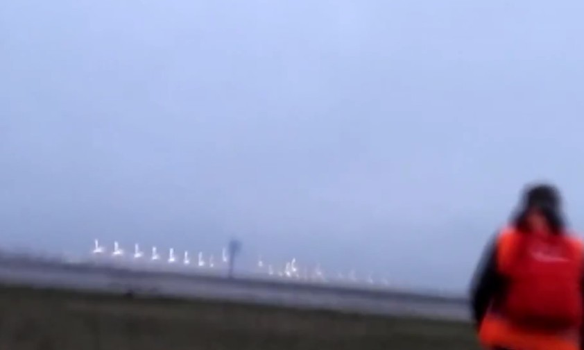 Auf dem BER: Screenshot aus dem Livestream der Gruppe Letzte Generation.