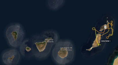 kanarische inseln jet2