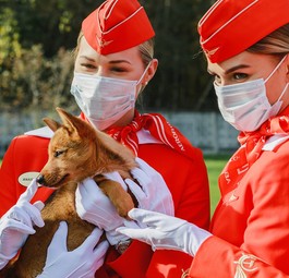 Flugbegleiterinnen von Aeroflot: So freundlich wie mit dem Hund gehen die Angestellten mit Maskenverweigerern nicht um.
