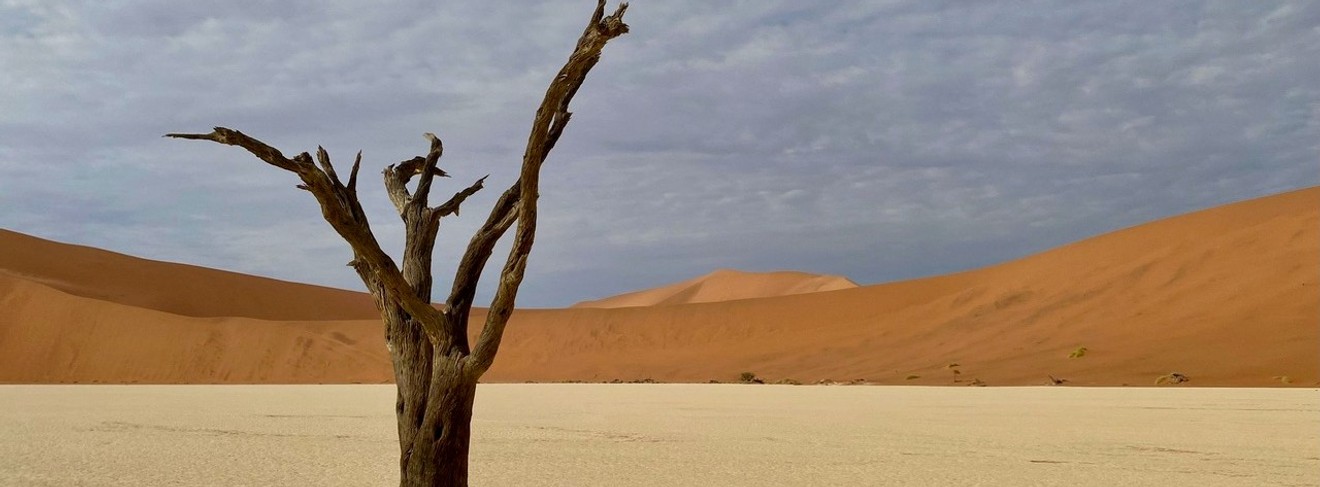 Ikonische Baumgerippe in Deadvlei