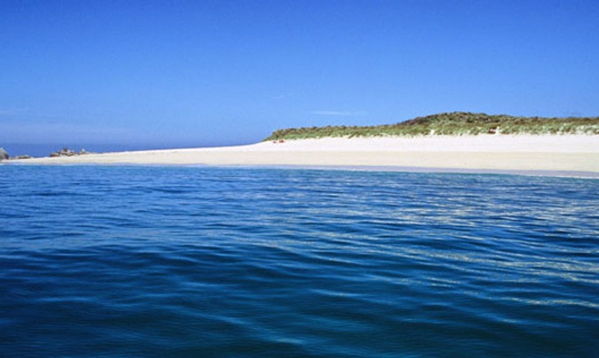 Wo auf der Welt landen Sie im Juni?