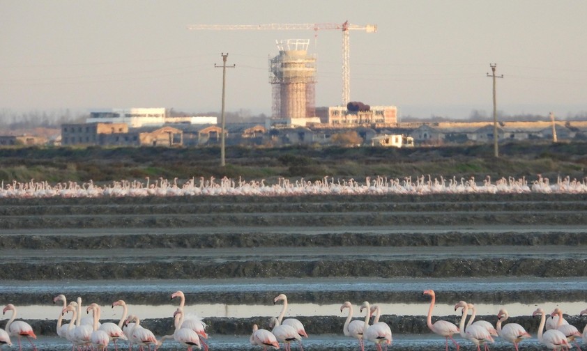 Flamingos, Flughafen-Baustelle in Vlora: Das Projekt verzögert sich weiter.
