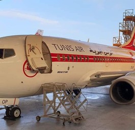 Der Jubiläumsflieger von Tunisair: Die Boeing 737-600 ...