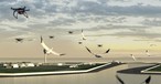 Drohnen am Flughafen: Sie sollen helfen, Vogelschlag zu verhindern.