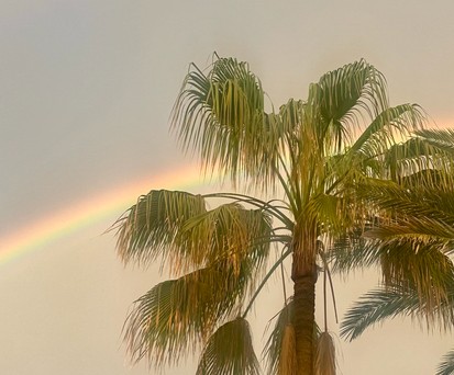 Palmen sehen: Urlaub zu machen, wird immer teurer. 