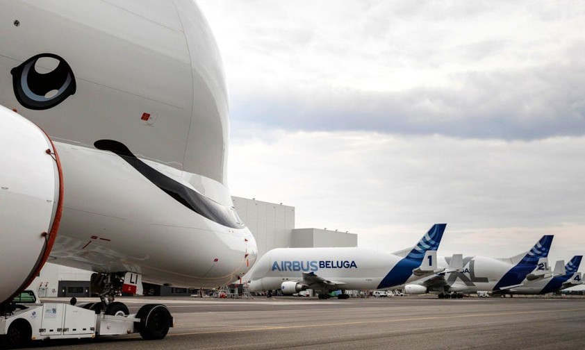 The new kid and its sisters.