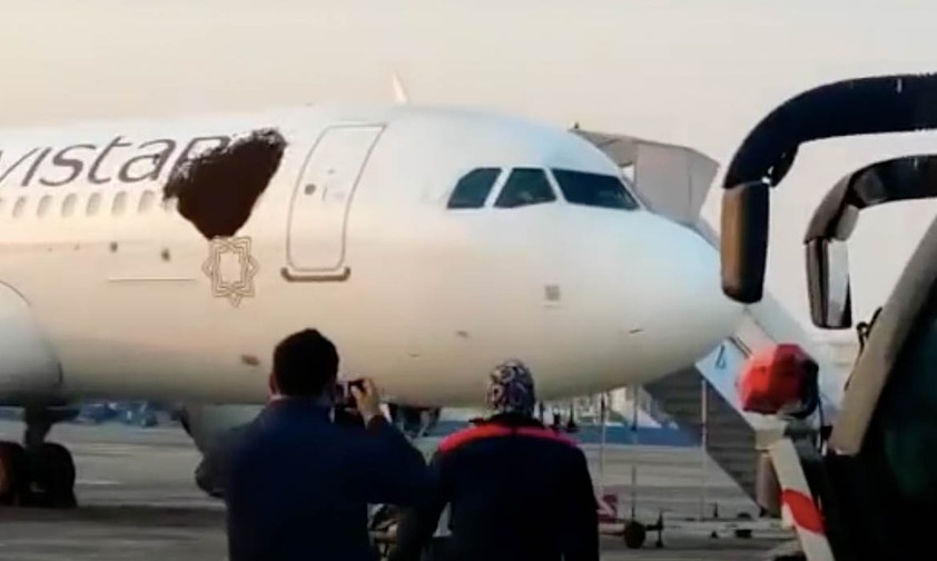 Feuerwehr spült Bienen von Airbus A320