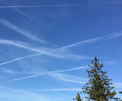 Fliegen: Sehen die meisten weiterhin positiv.