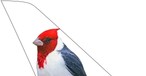 ticker-jetsmart