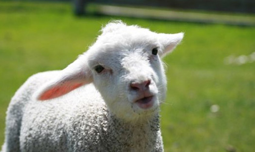 Wo auf der Welt landen Sie im Januar?