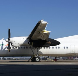 Palestinian Airlines: Both aircraft are up for sale.