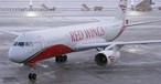 Red-Wings-Flieger: Müssen am Boden bleiben