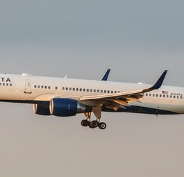 Platz 1: Delta Air Lines - 112 Exemplare