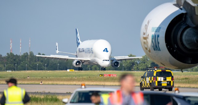 beluga st 4 ila 2024