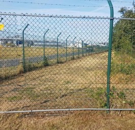 Loch im Zaun: Es wurden keine Eindringlinge gefunden.