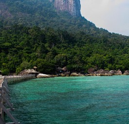 Tioman: Die Insel bekommt keinen großen Flughafen.