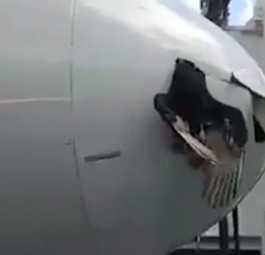 Vogel bleibt an American-Jet kleben