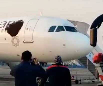 Feuerwehr spült Bienen von Airbus A320