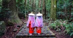 Einer der Pfade auf dem Kumano-Kodo-Pilgerweg