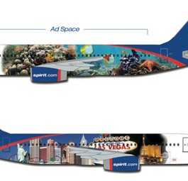 Wer aufs Ganze gehen will, kleidet gleich das ganze Flugzeug ein.