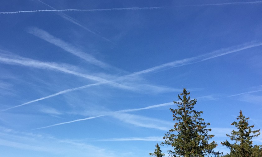 Fliegen: Sehen die meisten weiterhin positiv.