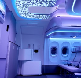 Grafik einer Kabine der A320 Neo-Serie: Mehr Möglichkeiten für den A321 Neo.
