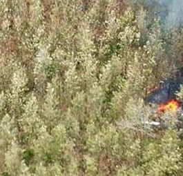 Die Absturzstelle in Costa Rica: Das Wrack ist ausgebrannt.