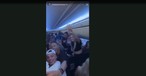 Kanadische Influencer und Reality-Sternchen feierten heftig auf einem Sunwing-Flug.