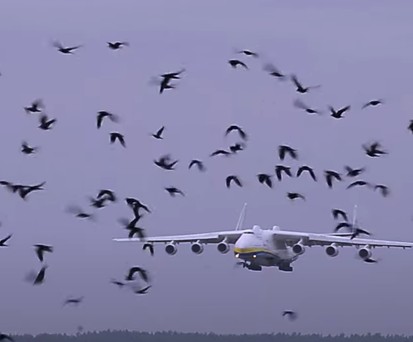 Antonov An-225 kehrt nach verlängerter Reise heim