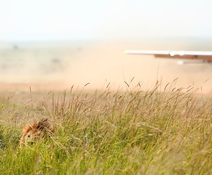 Angama Airstrip: Momentan gibt es nur die Piste.