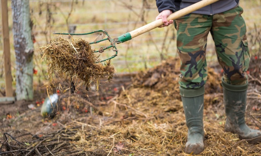 Landwirt mit einer Gabel Gülle: Künftig soll auch aus Gülle und Stroh Kerosin gewonnen werden.